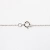 Picture of Diamond North Star Pendant Necklace in 14k White Gold