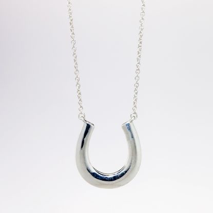 Picture of Tiffany & Co. Delicate Sterling Silver Horseshoe Pendant Necklace