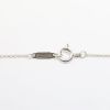 Picture of Tiffany & Co. Delicate Sterling Silver Horseshoe Pendant Necklace