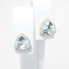 Picture of 14k Yellow Gold & Trillion Cut Aquamarine Solitaire Earrings with Diamond Halo