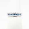 Picture of 10k White Gold, Blue and White Diamond Band Ring