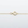 Picture of 14k Yellow Gold Necklace with Graduated, Alternating Ruby & Diamond Arc Pendant
