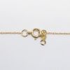 Picture of 14k Yellow Gold Necklace with Oval Cut Ruby Pendant with Diamond Accent