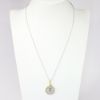 Picture of Platinum 1/4oz Koala Coin Necklace with 14k yellow Gold bezel