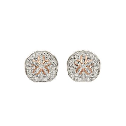 Picture of Sterling Silver Swarovski Sand Dollar Studs 
