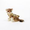 Picture of Kingspoint Designs Shrewd the Tigress Cub Mini Trinket Box