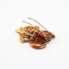Picture of Kingspoint Designs Larry the Lobster Mini Trinket Box