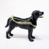 Picture of Kingspoint Designs Espresso the Black Lab Trinket Box with Matching Necklace