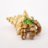 Picture of Kingspoint Designs Hermie the Hermit Crab Trinket Box with Matching Necklace