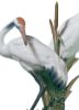 Picture of Lladro #1611 'Courting Cranes' Figurine