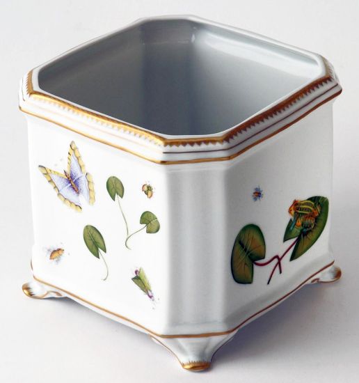 Picture of Anna Weatherley Porcelain Square Frog Cachepot