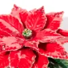 Picture of Jay Strongwater Poinsettia Objet