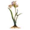 Picture of Jay Strongwater Vincent Iris Objet