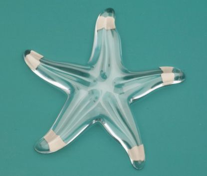 Picture of Baccarat Starfish