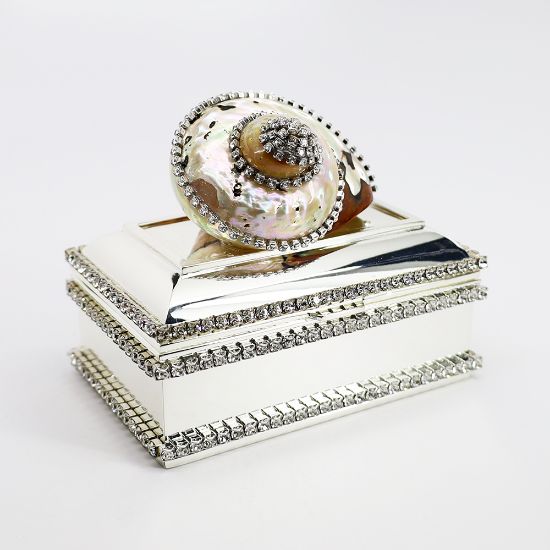 Picture of Isabella Adams Clear Crystal Sarmaticus Turbo Shell Keepsake Box