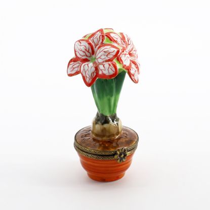 Picture of Limoges Porcelain Potted Red & White Amaryllis Flowers Trinket Box