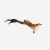 Picture of One Hundred 80 Degrees  Gold Glass & Feather Bird clip on Ornament