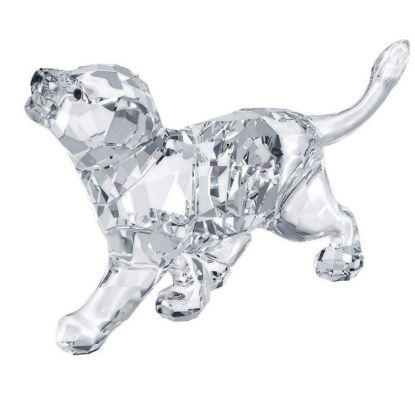 Picture of Swarovski - Lion Cub Figurine