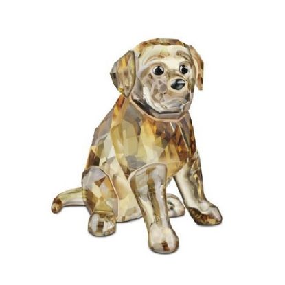 Picture of Swarovski - Golden Retriever Sitting Puppy Figurine
