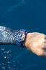 Picture of Promaster  Dive Blue Dial 