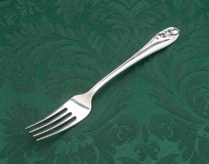Picture of Place Forks