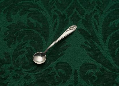 Picture of Ind. Salt Spoon