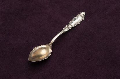 Picture of Fruit Spoons: