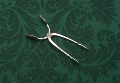 Picture of Sugar Tongs