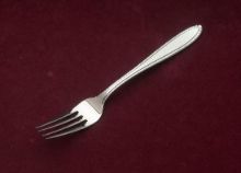 Picture of Place Forks: