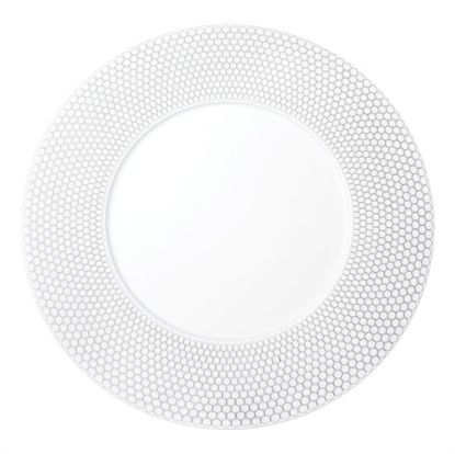 Picture of New Service Plate 12"