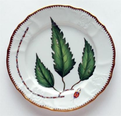Picture of New Salad Plates