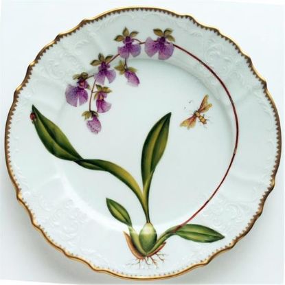 Picture of Dinner Plates