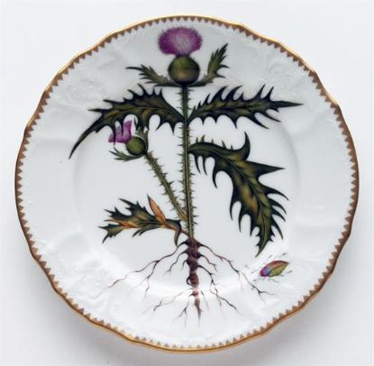 Picture of New Salad Plates