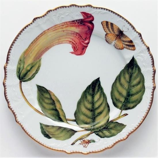 Picture of New Dinner Plate