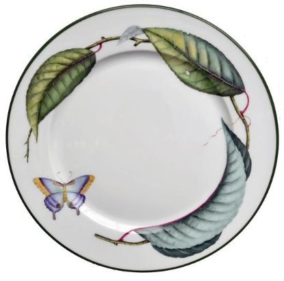 Picture of New Dinner Plate