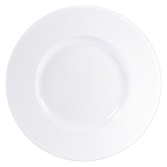 Picture of New Service Plate 12"