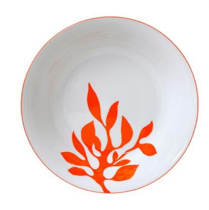 Picture of New Round Vegetable