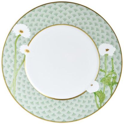 Picture of New Dinner Plate