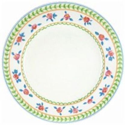 Picture of Dinner Plates