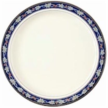 Picture of Dinner Plates