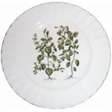 Picture of Dinner Plates