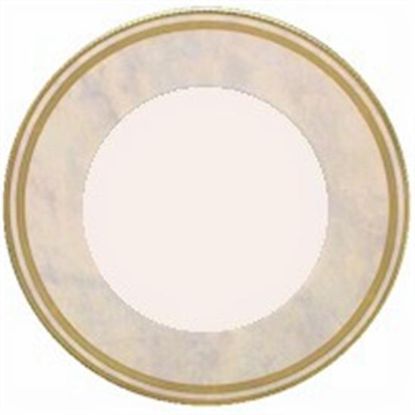 Picture of Dinner Plates