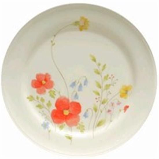Picture of Dinner Plates