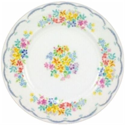 Picture of Dinner Plates