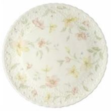 Picture of Dinner Plates