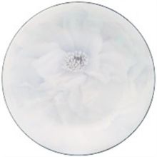Picture of Dinner Plates