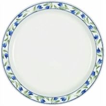 Picture of Dinner Plates