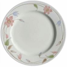 Picture of Dinner Plates