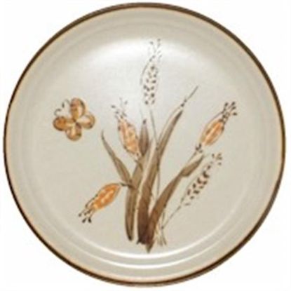 Picture of Dinner Plates