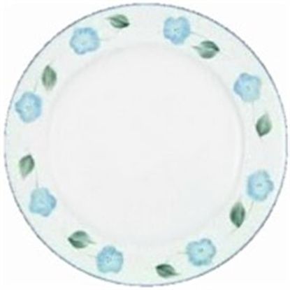 Picture of Dinner Plates